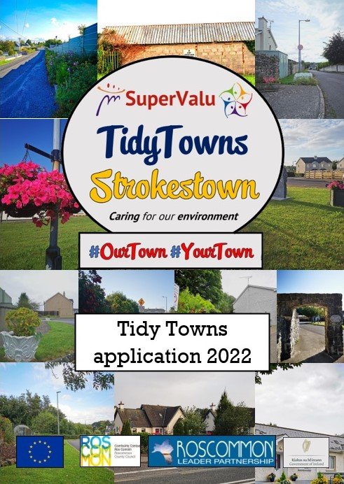Tidy Towns 2022 application