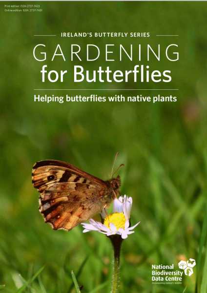 LEARN HOW gardening for butterflies