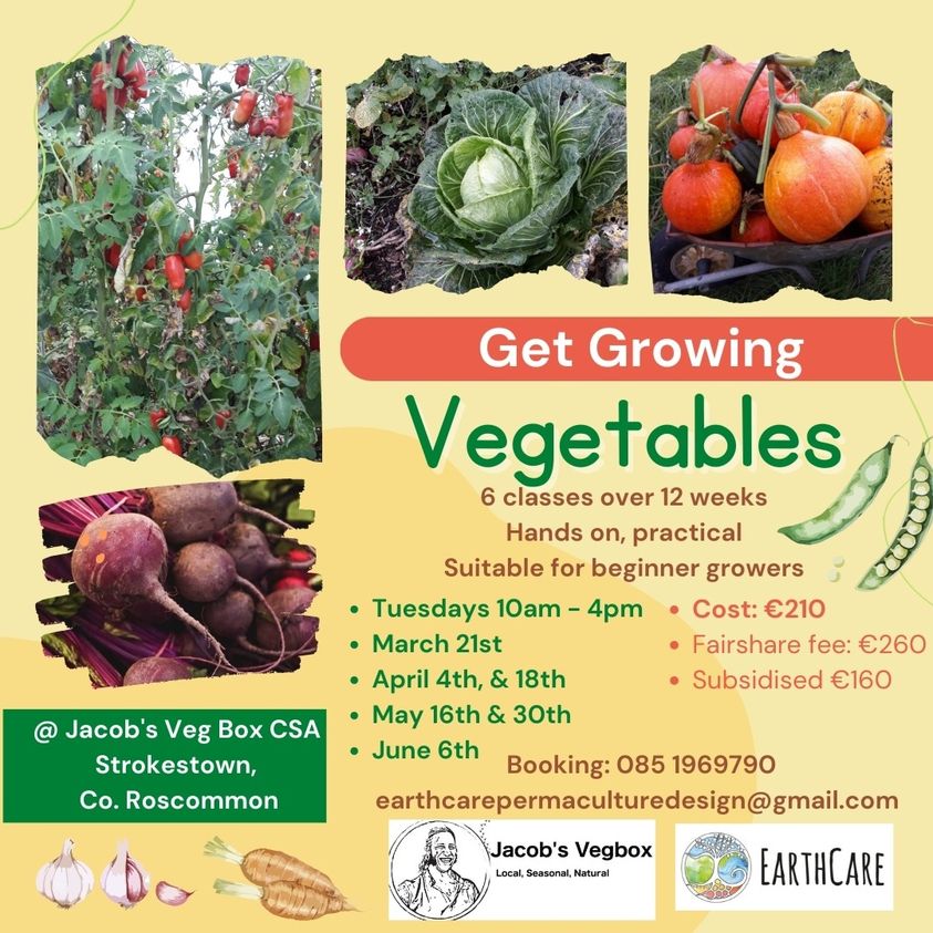 Get Growing: vegetables