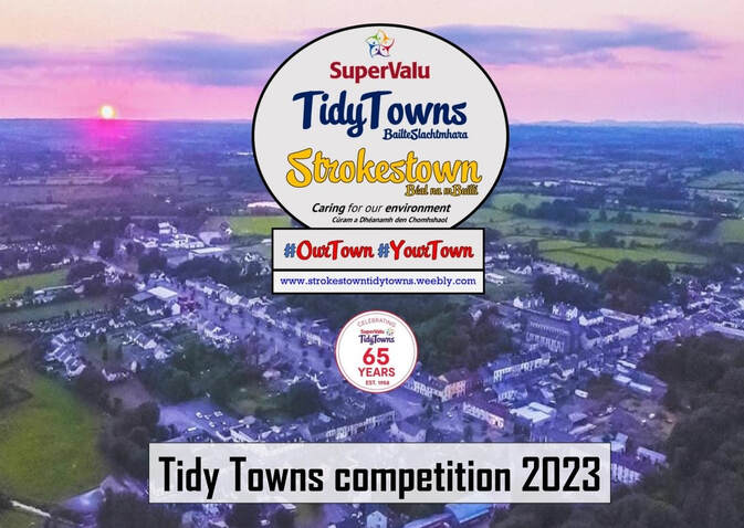 Tidy Towns competition 2023