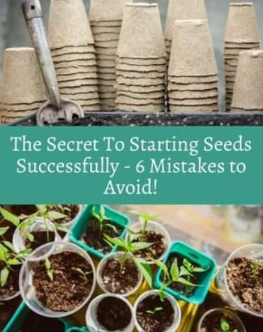 LEARN HOW starting seeds successfully
